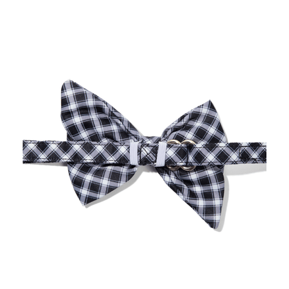 Leighton dog babe bow — additional photo 2