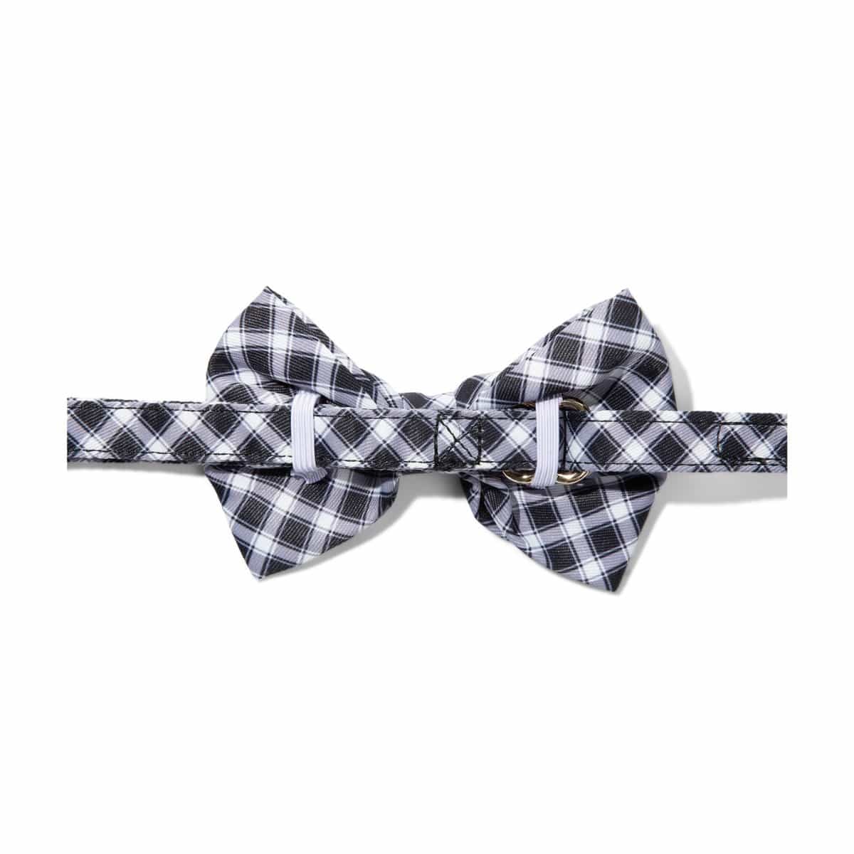 Leighton dog bow tie — additional photo 2