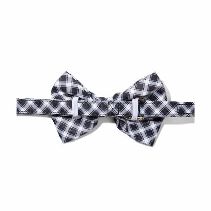 Leighton dog bow tie — additional photo 2
