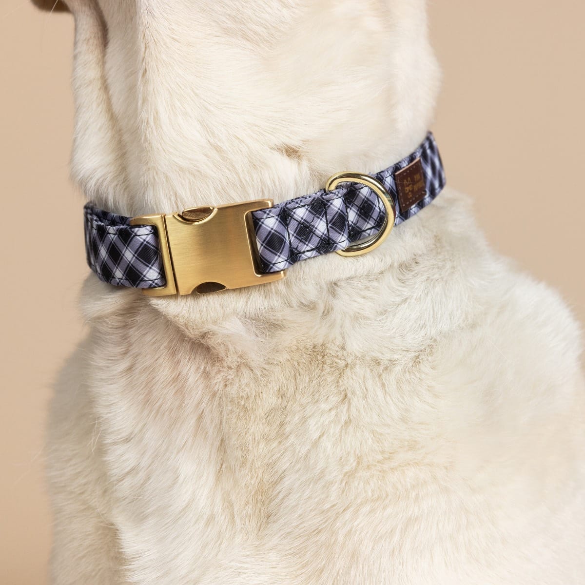 Leighton dog collar — additional photo 4