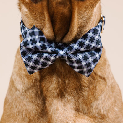 Leighton dog bow tie — additional photo 4