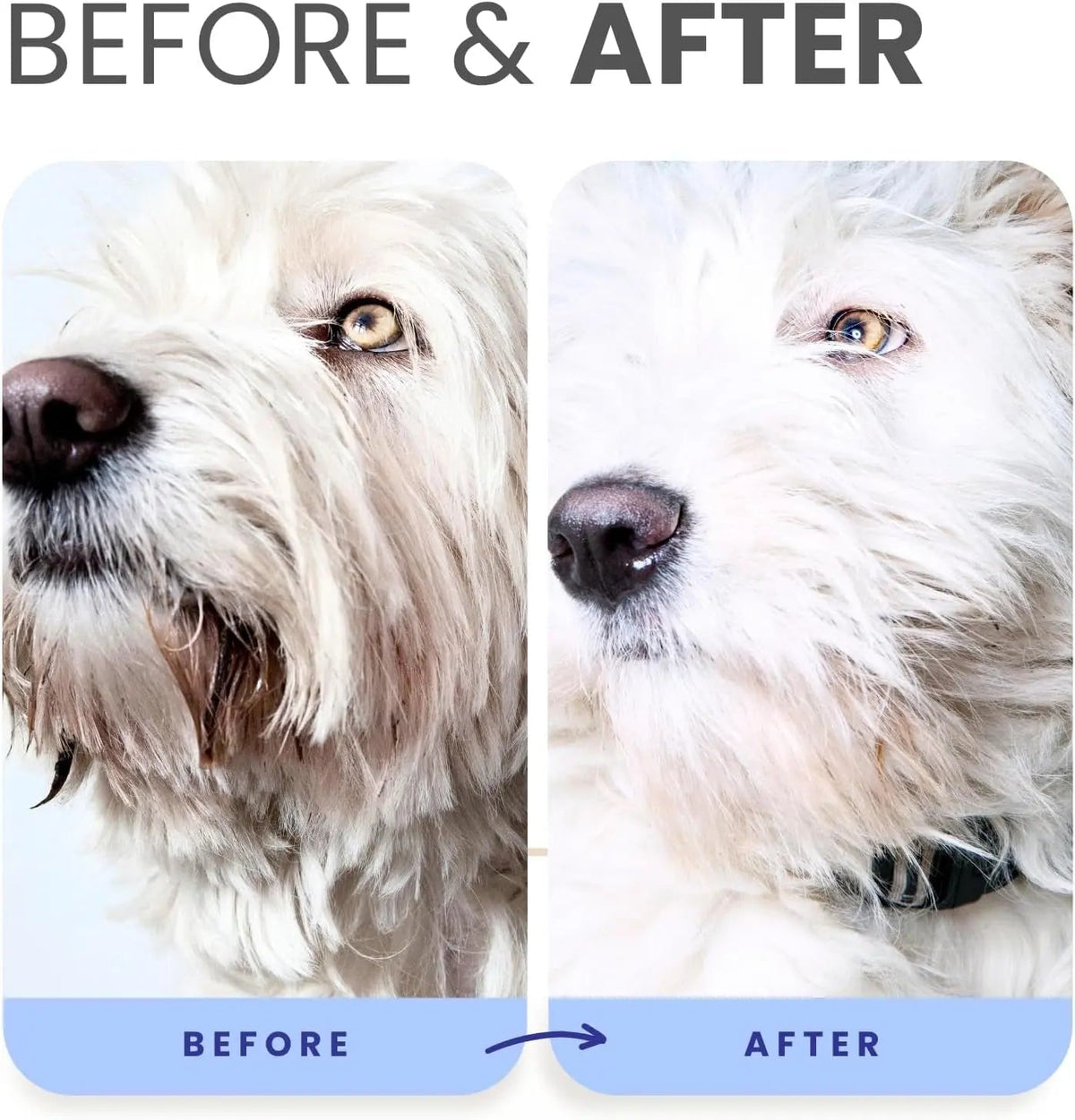 Lillian Ruff Berry Blue Brightening Dog Shampoo and Conditioner Set