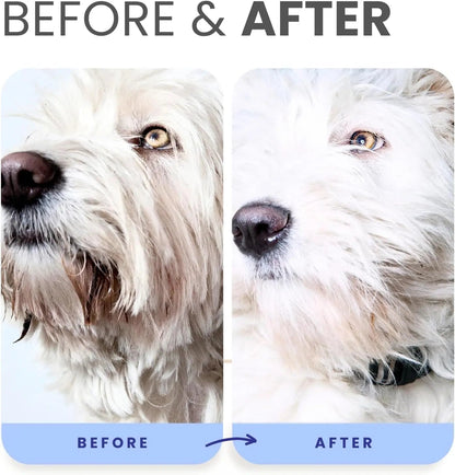Lillian Ruff Berry Blue Brightening Dog Shampoo and Conditioner Set