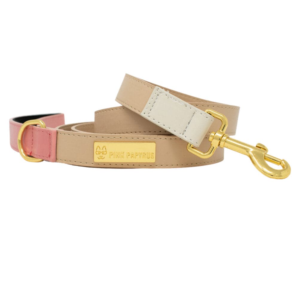 Lola – Vegan Leather Dog Leash 4ft & 6ft, Padded Handle