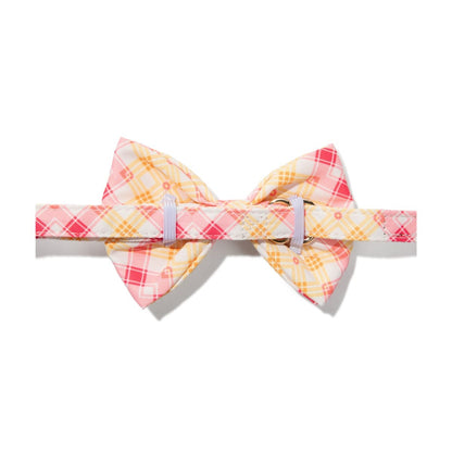 Lottie dog bow tie — additional photo 2