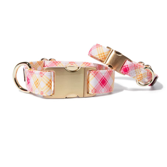 Lottie – Plaid Dog Collar, Adjustable XS–L