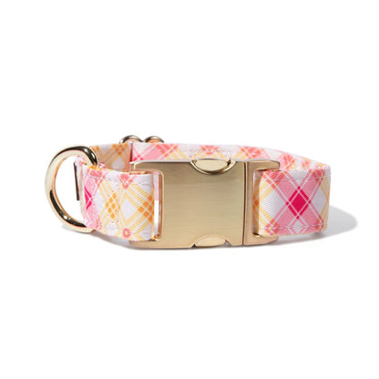 Lottie dog collar — additional photo 2