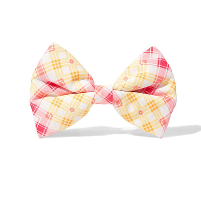 Lottie – Plaid Dog Bow Tie for Any Collar, S & L