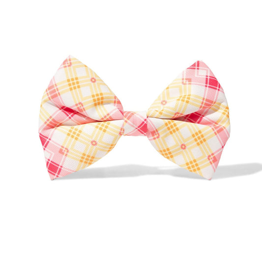 Lottie – Plaid Dog Bow Tie for Any Collar, S & L