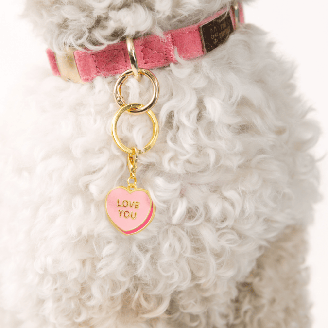 Love You Sweetheart Dog Collar Charm — additional photo 3
