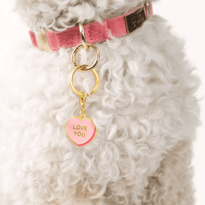 Love You Sweetheart Dog Collar Charm — additional photo 3
