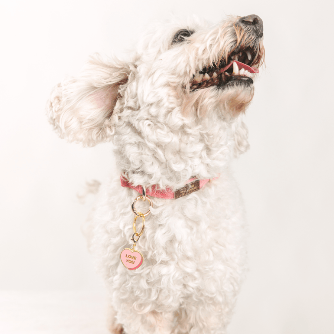 Love You Sweetheart Dog Collar Charm — additional photo 2
