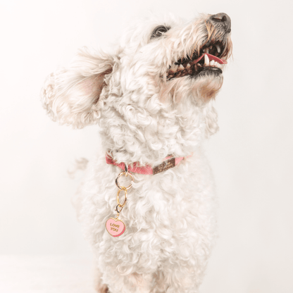 Love You Sweetheart Dog Collar Charm — additional photo 2