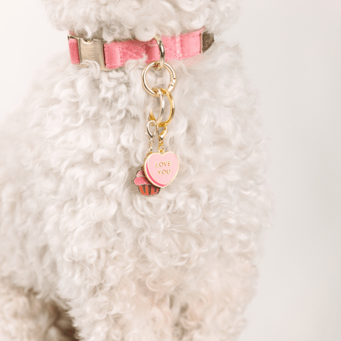 Love You Sweetheart & Cupcake Dog Collar Charm Set, 2 Charms — additional photo 2