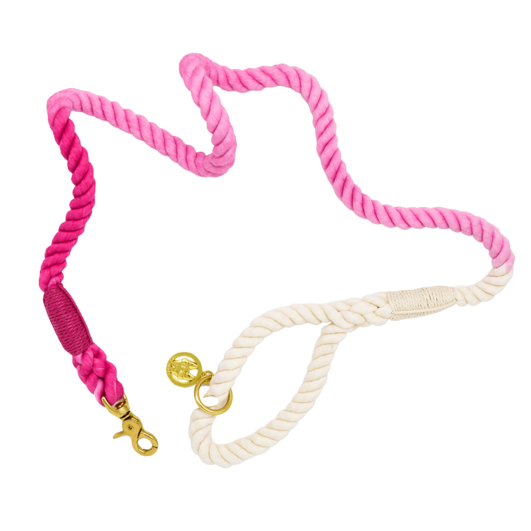 Maggie – Organic Cotton Rope Dog Leash, Ombre