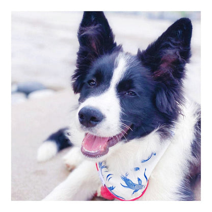 Marlowe dog bandana — additional photo 4