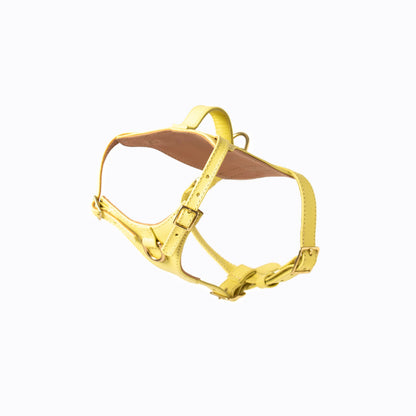 Mellow Heritage Harness