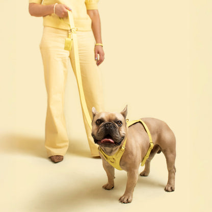 Mellow Heritage Harness