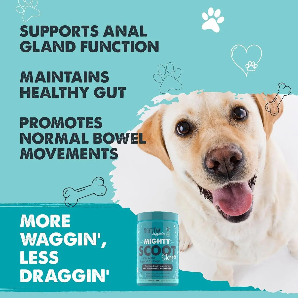 Fiber Soft Chews for Dogs, 120 Count
