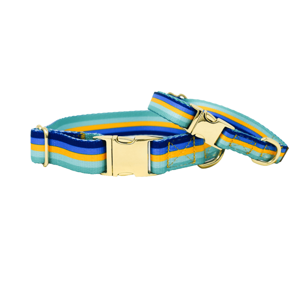 Milo – Striped Dog Collar, Adjustable XS–L