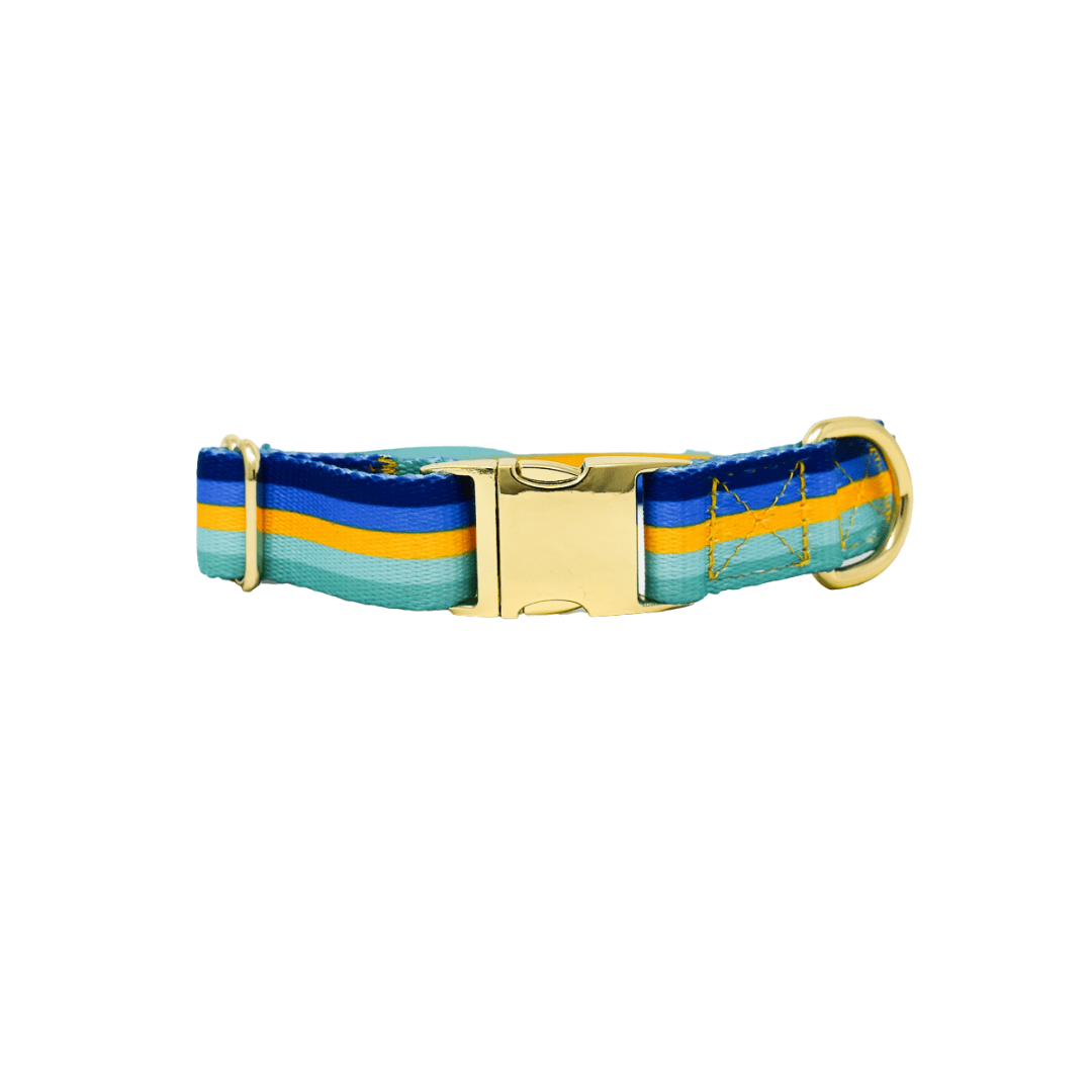 Milo dog collar — additional photo 2