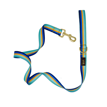 Milo – Striped Dog Leash 4ft & 6ft, Padded Handle