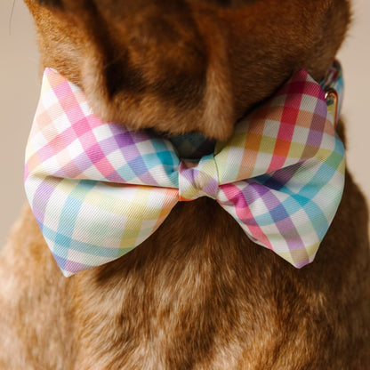 Minka dog bow tie — additional photo 4