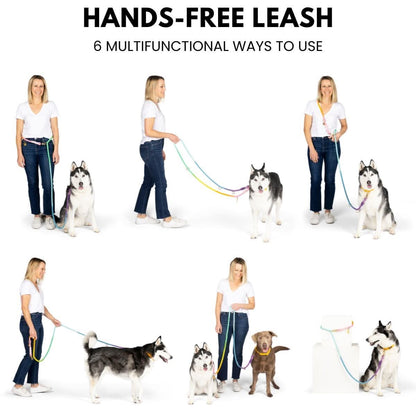 Alexandria hands-free dog leash — additional photo 2