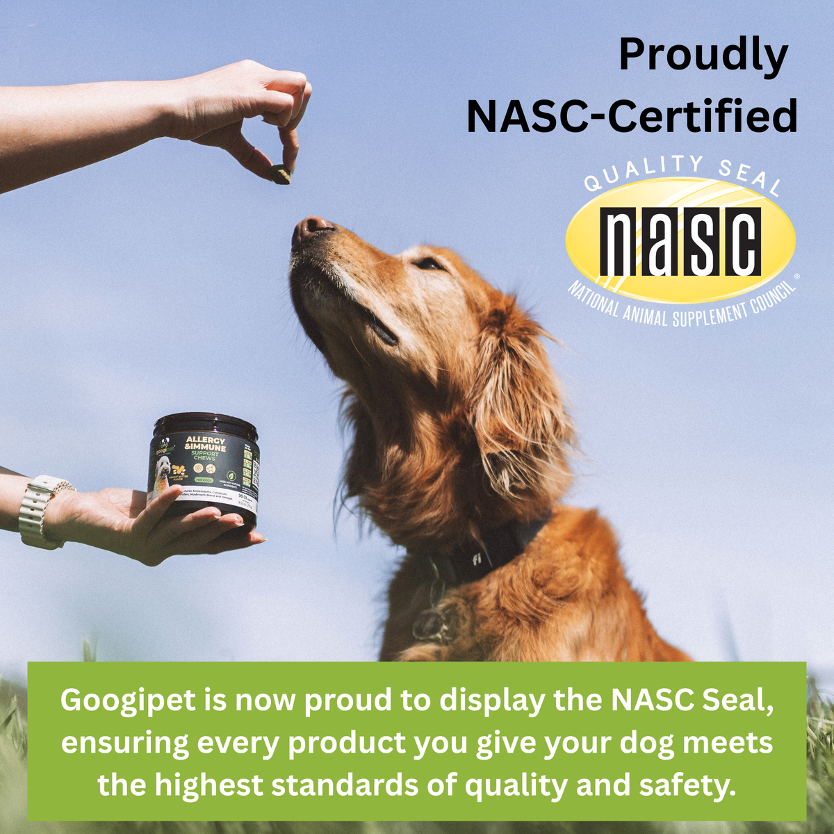 Omega-3 & Colostrum Chews for Dogs– Peanut Butter Flavor