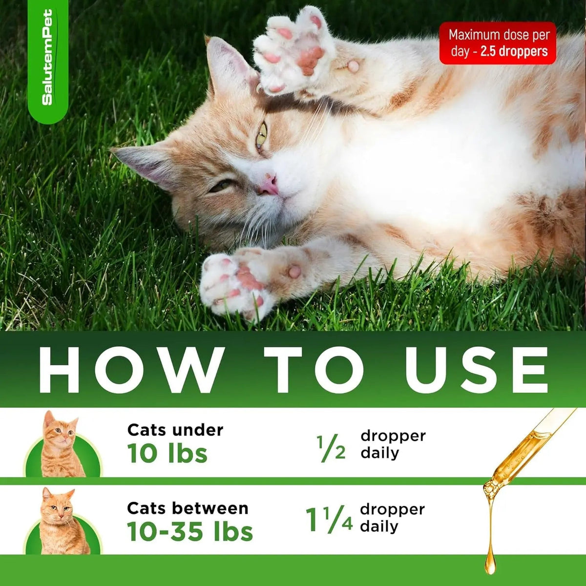 Botanical Liquid Supplement for Cats– Chicken Flavor, 2 oz