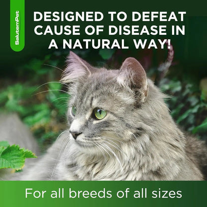 Botanical Liquid Supplement for Cats– Chicken Flavor, 2 oz