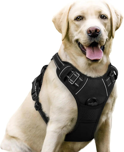 No-Pull Oxford Dog Harness with Dual Leash Clips