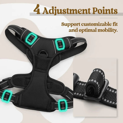 No-Pull Oxford Dog Harness with Dual Leash Clips