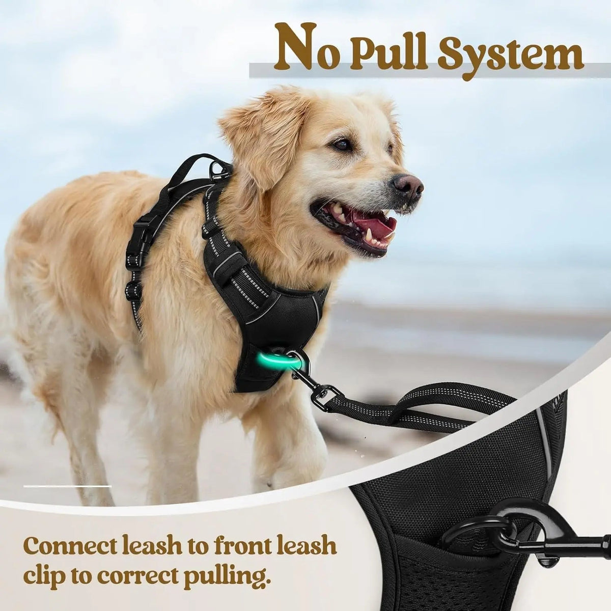 No-Pull Oxford Dog Harness with Dual Leash Clips