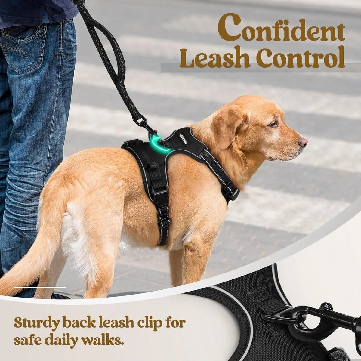 No-Pull Oxford Dog Harness with Dual Leash Clips
