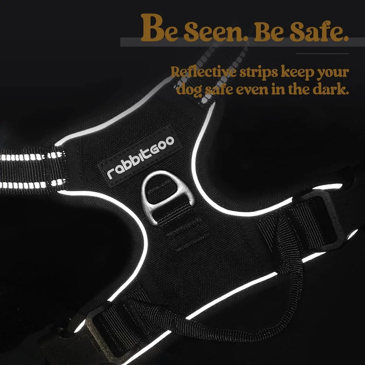 No-Pull Oxford Dog Harness with Dual Leash Clips