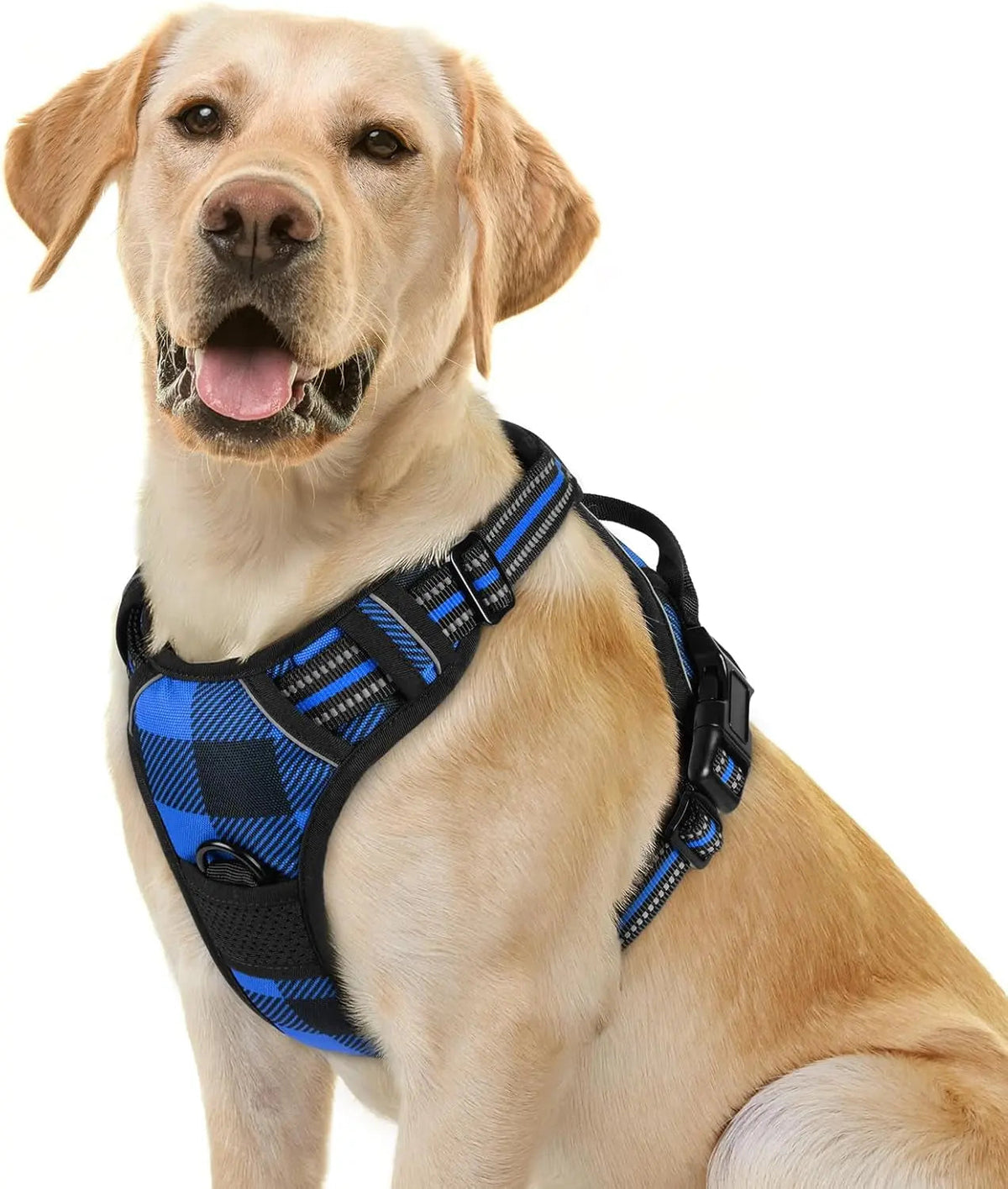 No-Pull Oxford Dog Harness with Dual Leash Clips