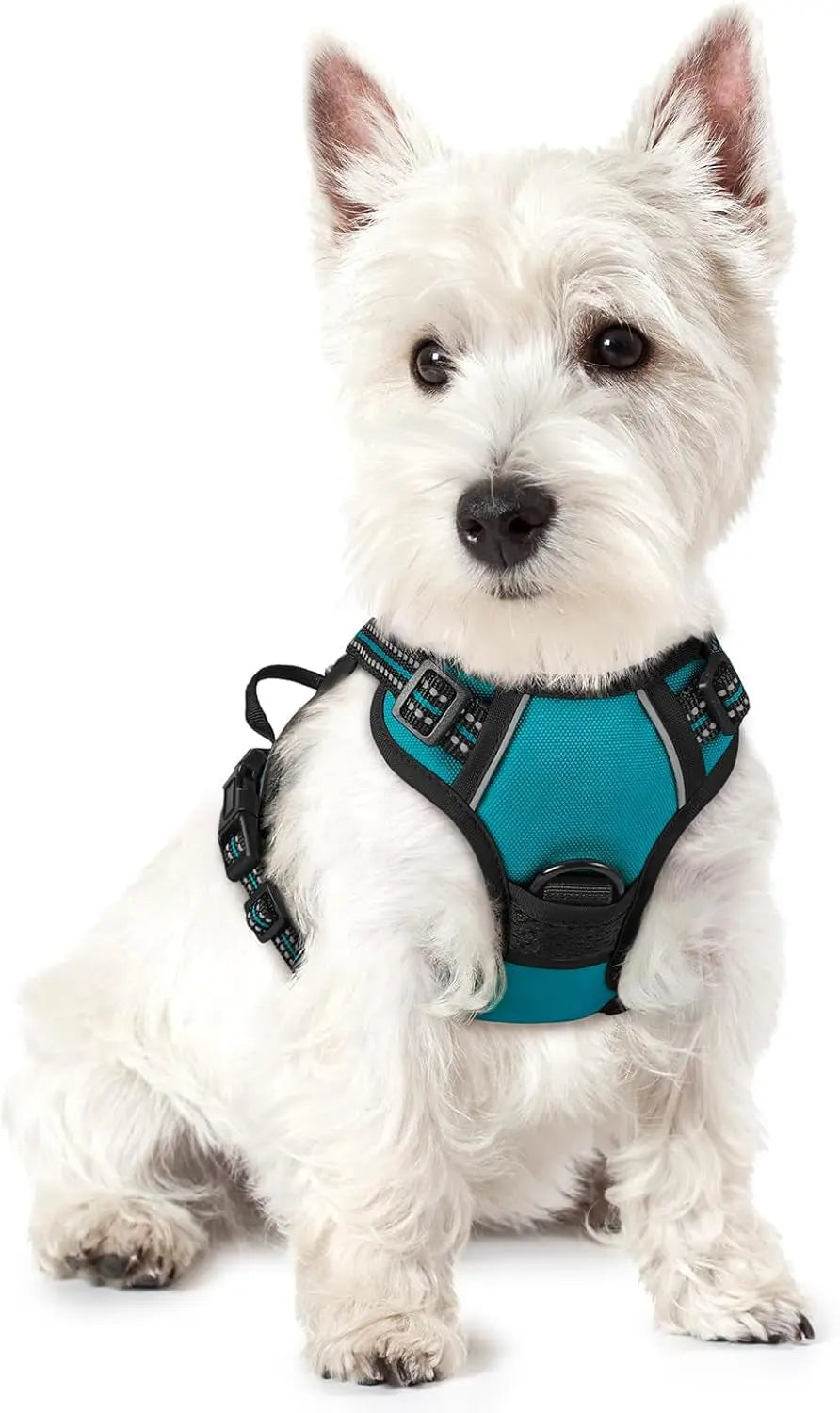 No-Pull Oxford Dog Harness with Dual Leash Clips