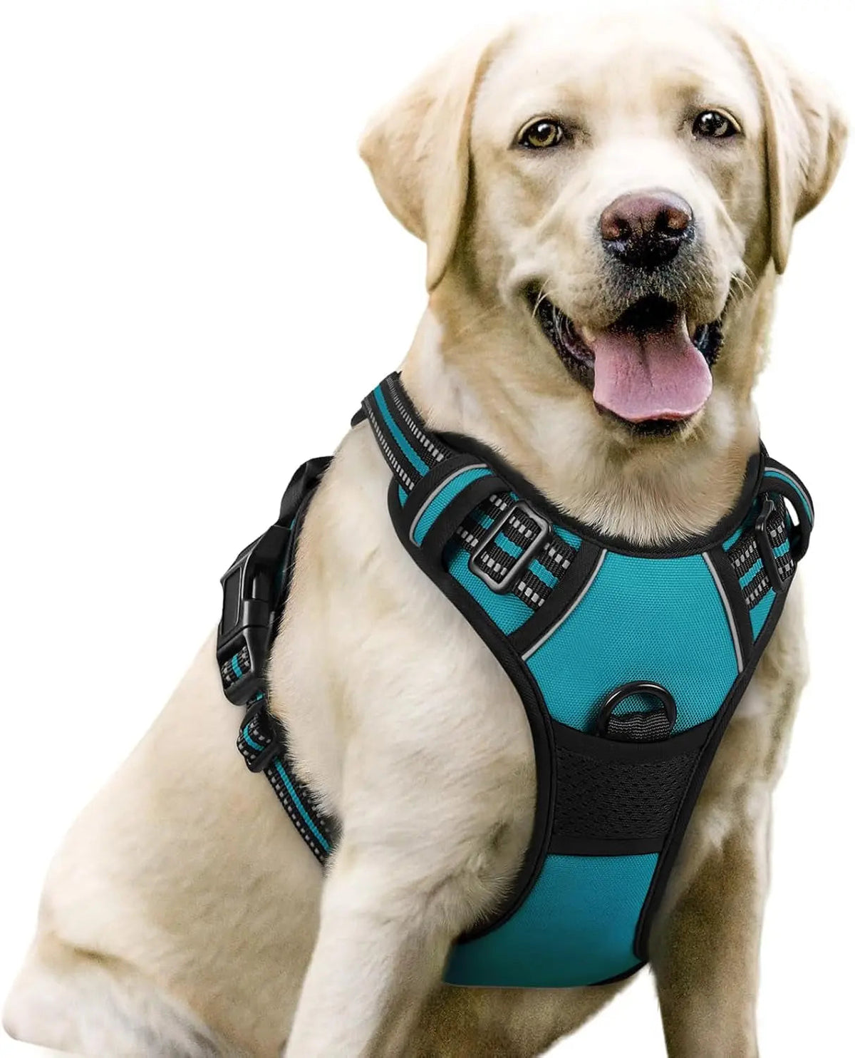 No-Pull Oxford Dog Harness with Dual Leash Clips