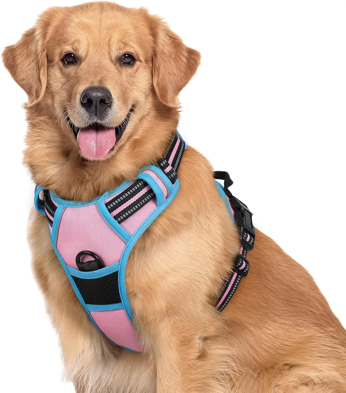 No-Pull Oxford Dog Harness with Dual Leash Clips