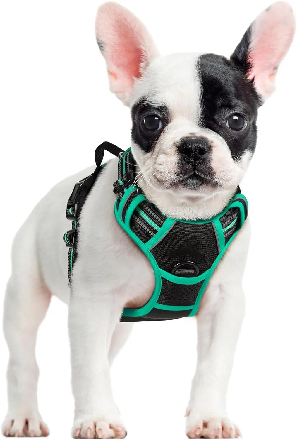 No-Pull Oxford Dog Harness with Dual Leash Clips