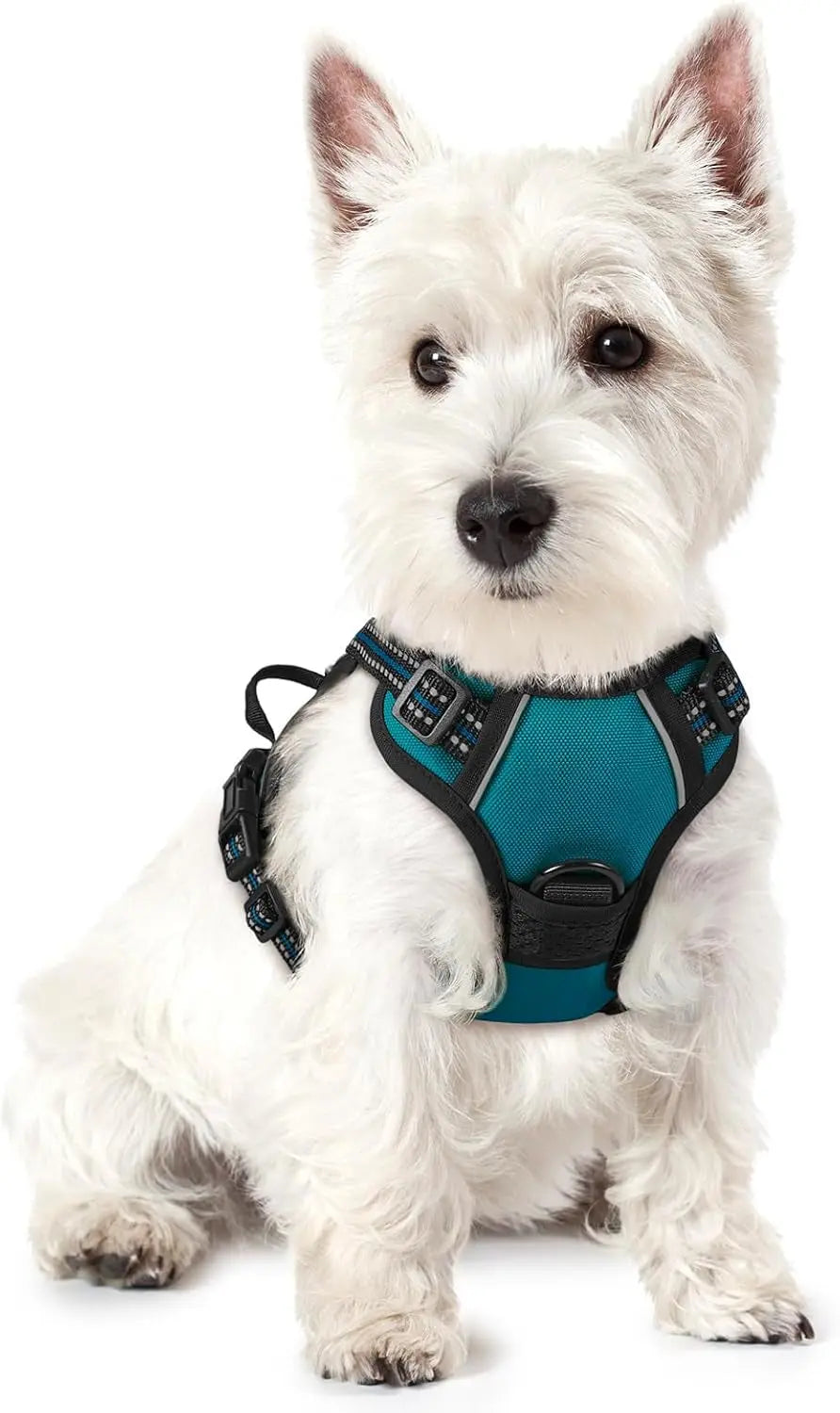 No-Pull Oxford Dog Harness with Dual Leash Clips