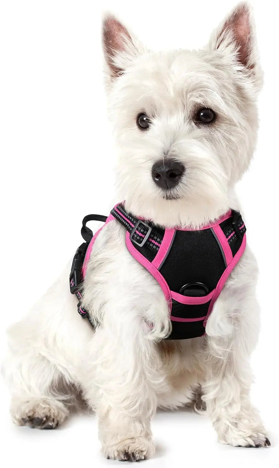 No-Pull Oxford Dog Harness with Dual Leash Clips