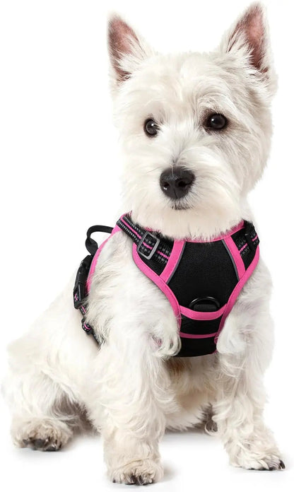 No-Pull Oxford Dog Harness with Dual Leash Clips
