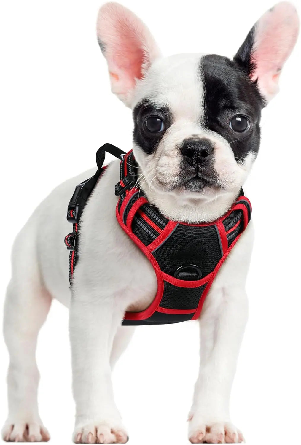 No-Pull Oxford Dog Harness with Dual Leash Clips