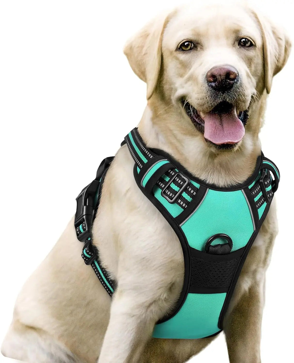 No-Pull Oxford Dog Harness with Dual Leash Clips