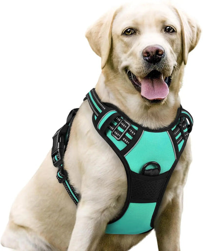 No-Pull Oxford Dog Harness with Dual Leash Clips