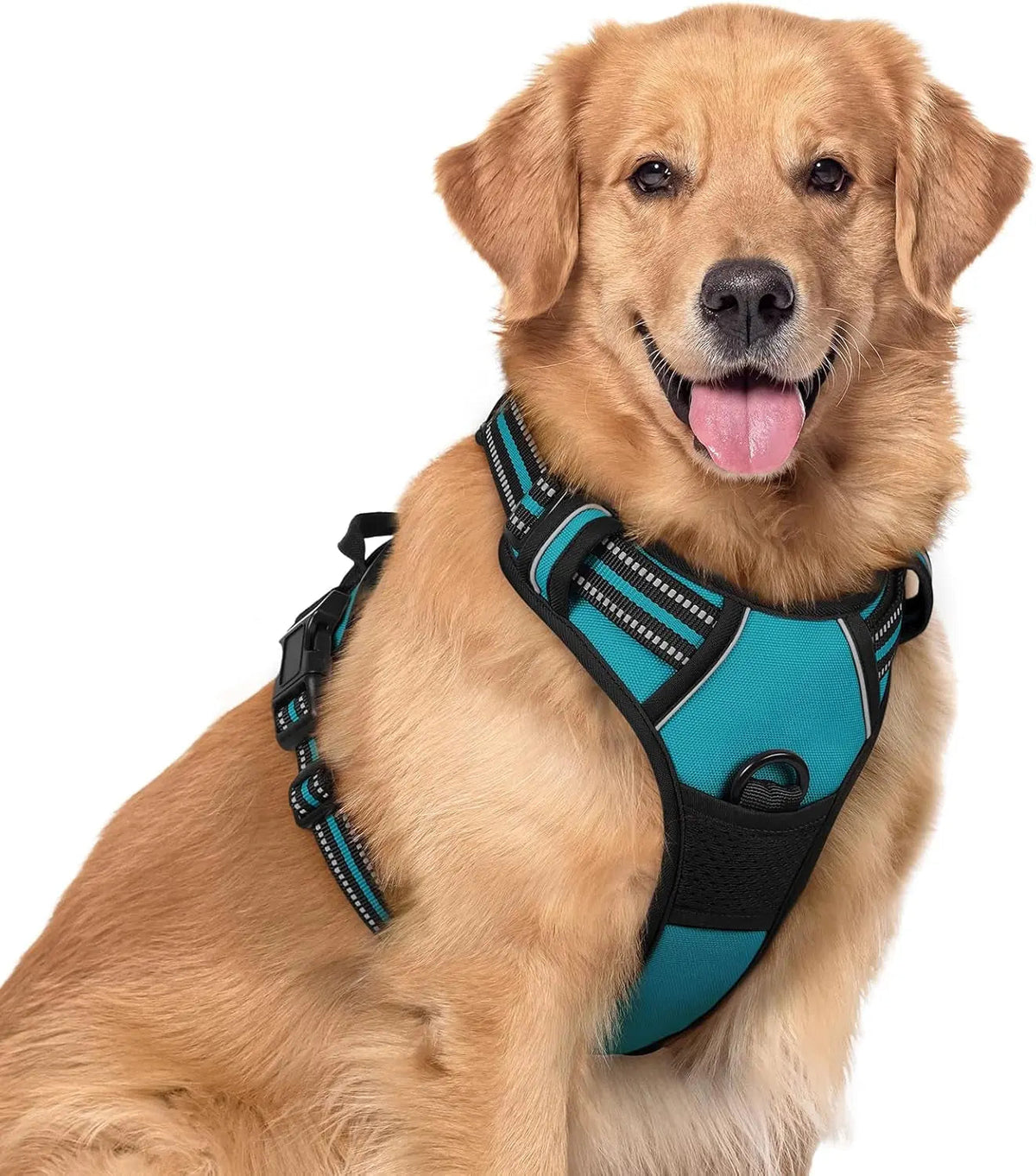 No-Pull Oxford Dog Harness with Dual Leash Clips
