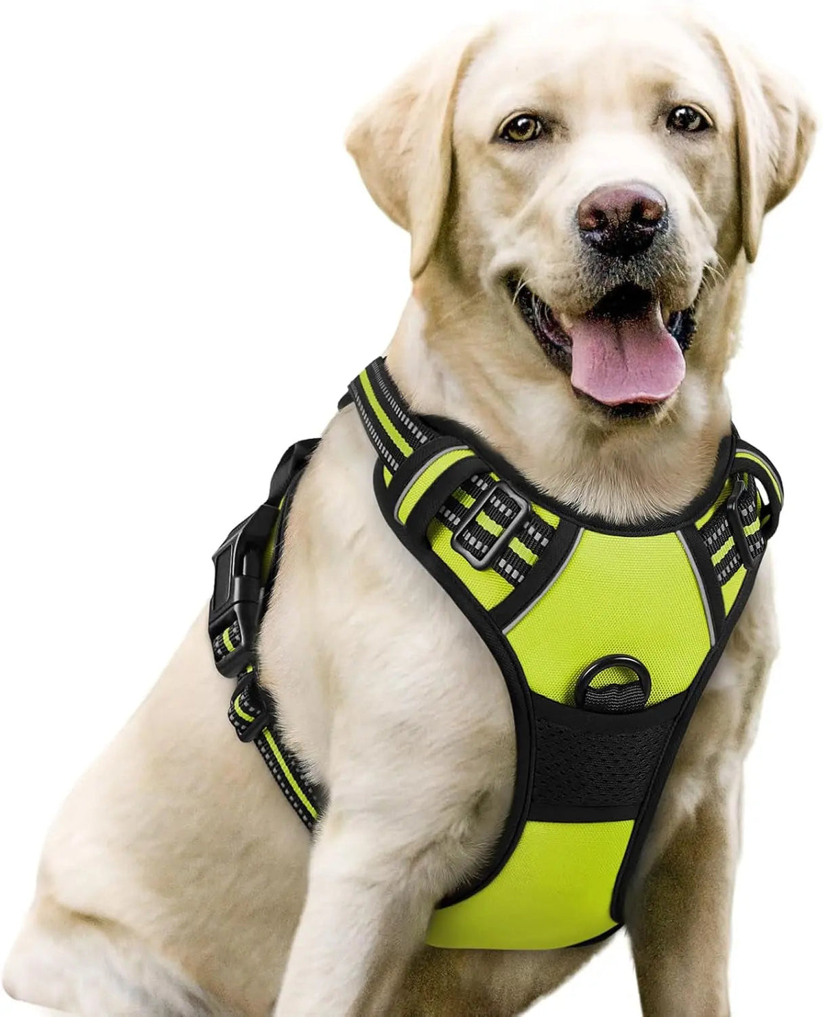 No-Pull Oxford Dog Harness with Dual Leash Clips