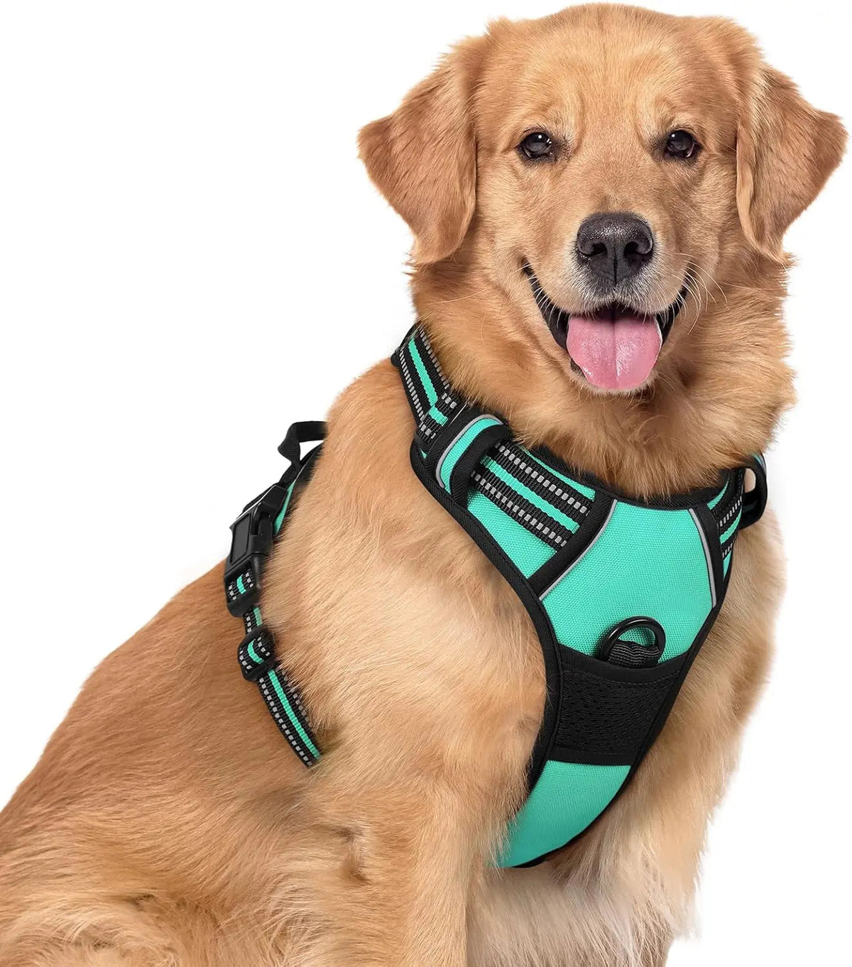 No-Pull Oxford Dog Harness with Dual Leash Clips